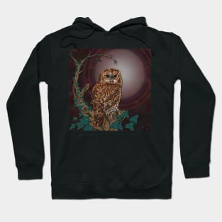 Tawny Owl Mistress of the Night Hoodie